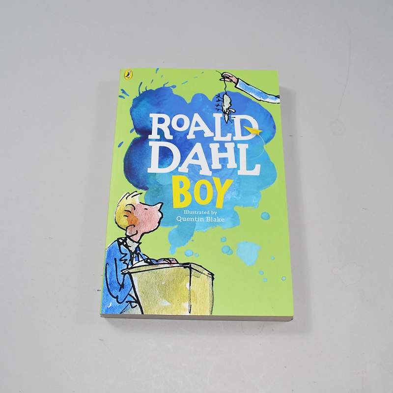 Βιβλίο Roald Dahl Boy