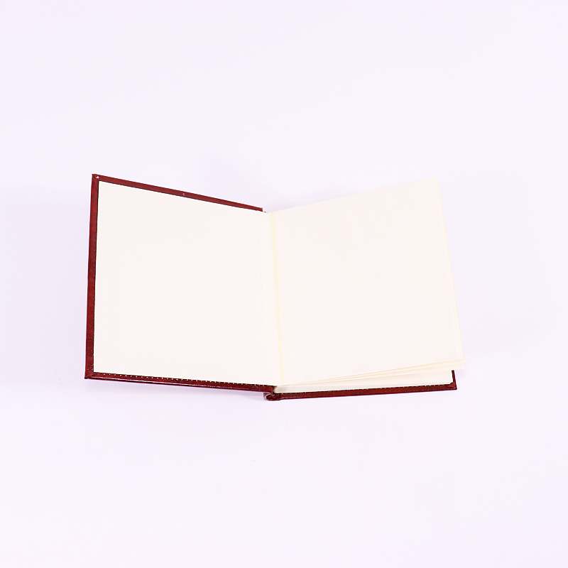 Άλμπουμ Φωτογραφιών 